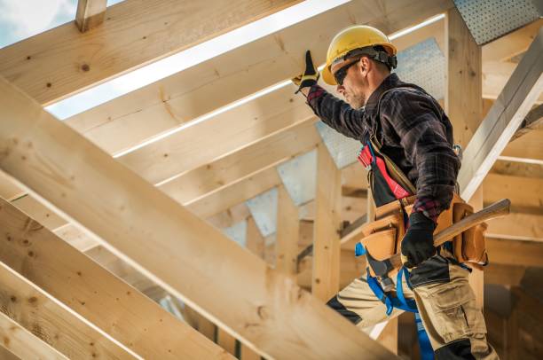 Best Local Roofing Companies  in Borger, TX