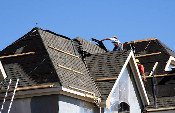 Best Metal Roofing Contractor  in Borger, TX