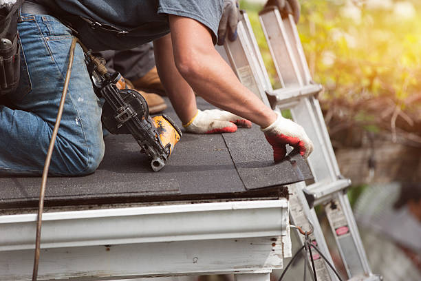 Best Roof Gutter Cleaning  in Borger, TX