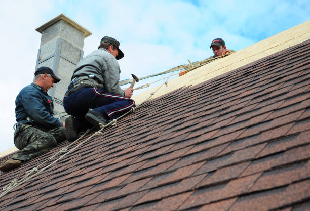 Best Local Roofing Companies  in Borger, TX